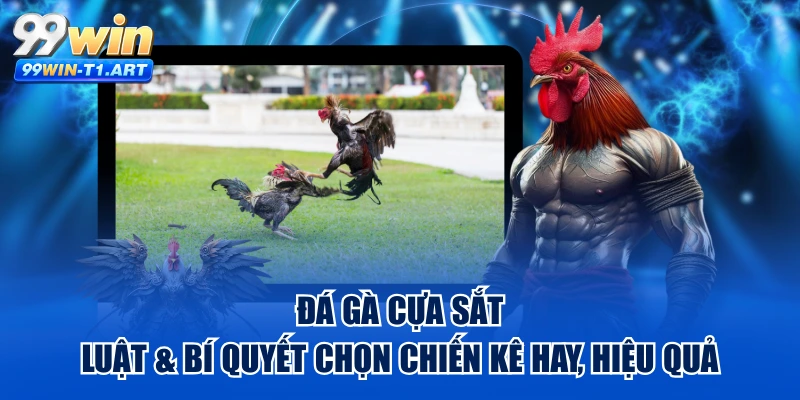 Đá Gà Cựa Sắt - Luật & Bí Quyết Chọn Chiến Kê Hay, Hiệu Quả