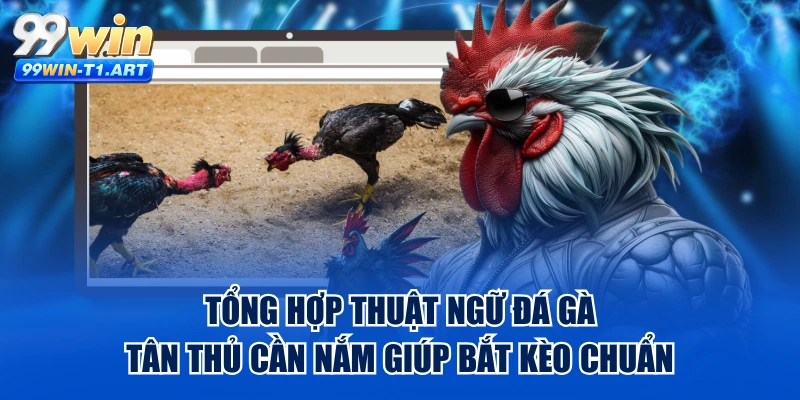 Tổng Hợp Thuật Ngữ Đá Gà Tân Thủ Cần Nắm Giúp Bắt Kèo Chuẩn
